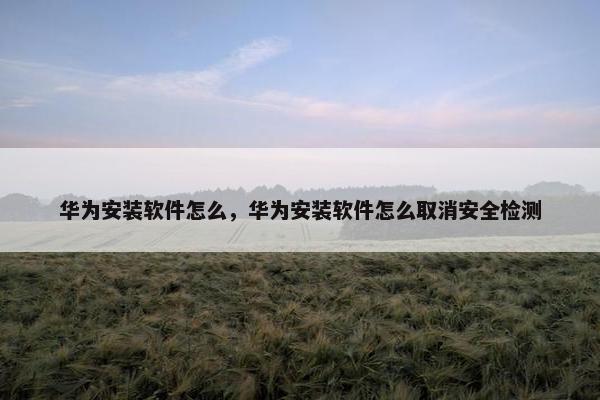 华为安装软件怎么，华为安装软件怎么取消安全检测
