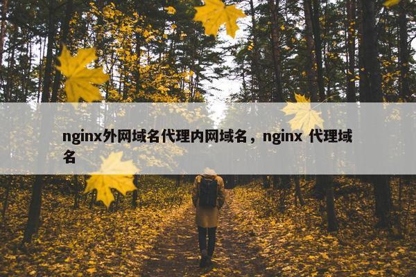nginx外网域名代理内网域名,nginx 代理域名 nginx外网域名代理内网域名,nginx 代理域名