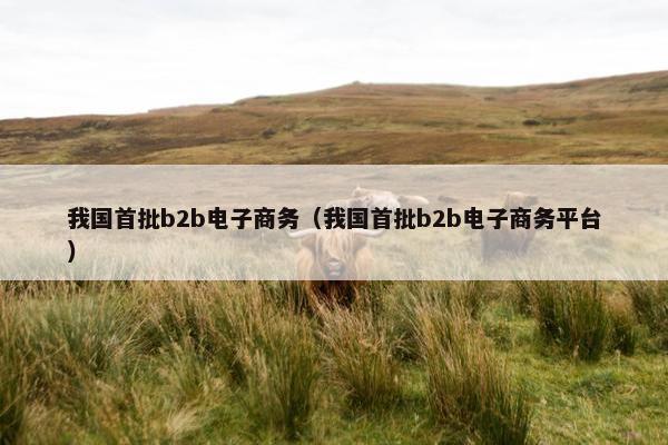 我国首批b2b电子商务（我国首批b2b电子商务平台）
