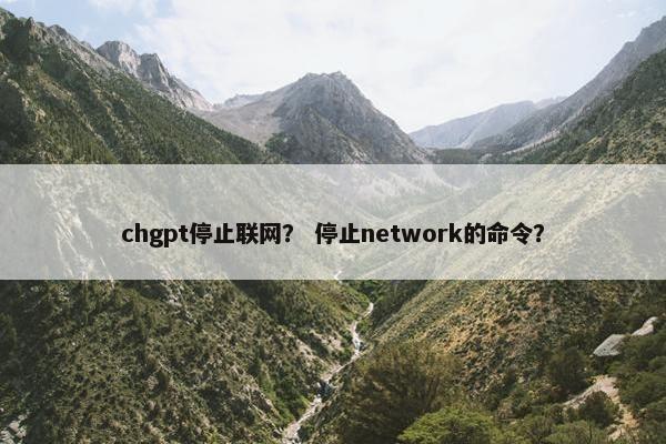 chgpt停止联网？ 停止network的命令？
