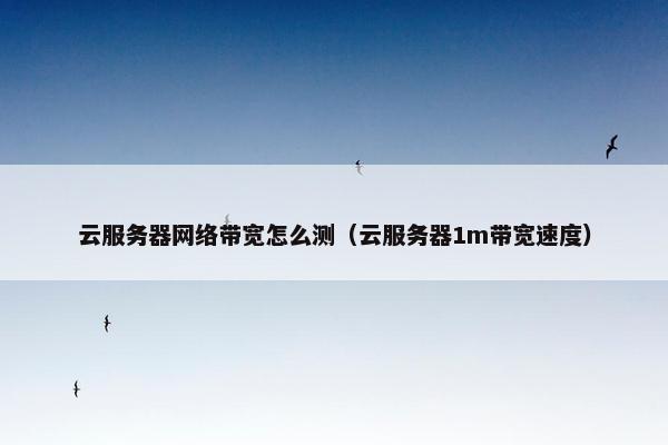 云服务器网络带宽怎么测（云服务器1m带宽速度）