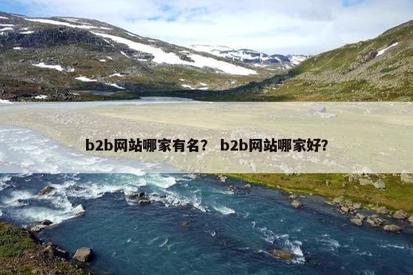 b2b网站哪家有名？ b2b网站哪家好？