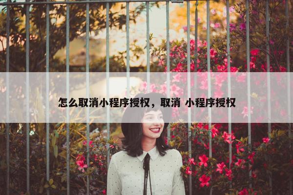 怎么取消小程序授权，取消 小程序授权