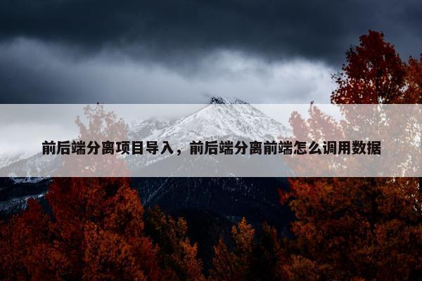 前后端分离项目导入,前后端分离前端怎么调用数据 前后端分离项目导入,前后端分离前端怎么调用数据