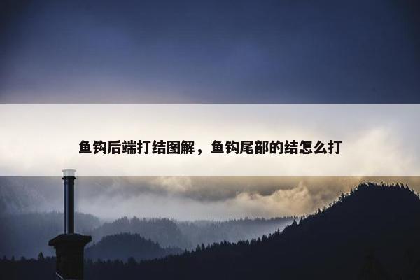 鱼钩后端打结图解，鱼钩尾部的结怎么打
