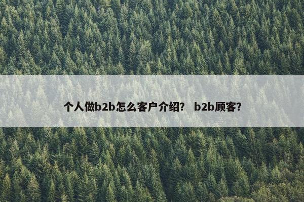 个人做b2b怎么客户介绍? b2b顾客? 个人做b2b怎么客户介绍? b2b顾客?