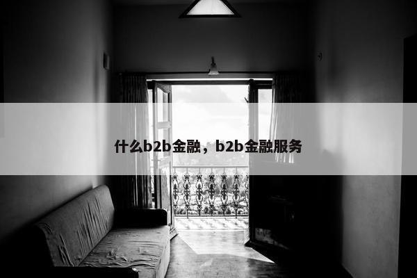 什么b2b金融，b2b金融服务