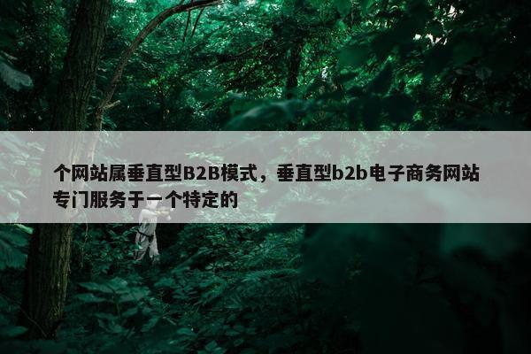 个网站属垂直型B2B模式，垂直型b2b电子商务网站专门服务于一个特定的