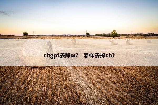 chgpt去除ai？ 怎样去掉ch？
