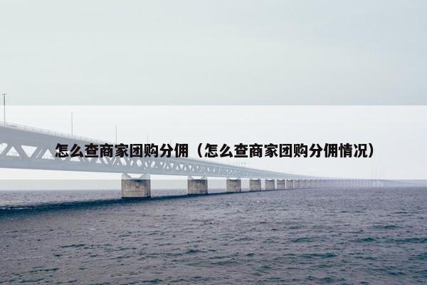 怎么查商家团购分佣(怎么查商家团购分佣情况) 怎么查商家团购分佣(怎么查商家团购分佣情况)