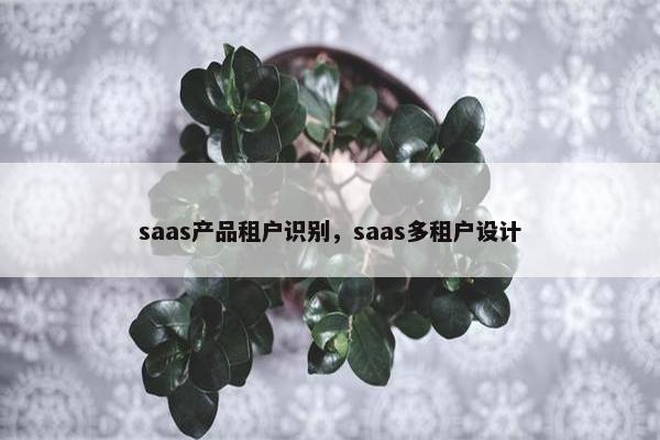 saas产品租户识别，saas多租户设计
