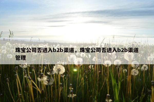 珠宝公司否进入b2b渠道,珠宝公司否进入b2b渠道管理 珠宝公司否进入b2b渠道,珠宝公司否进入b2b渠道管理
