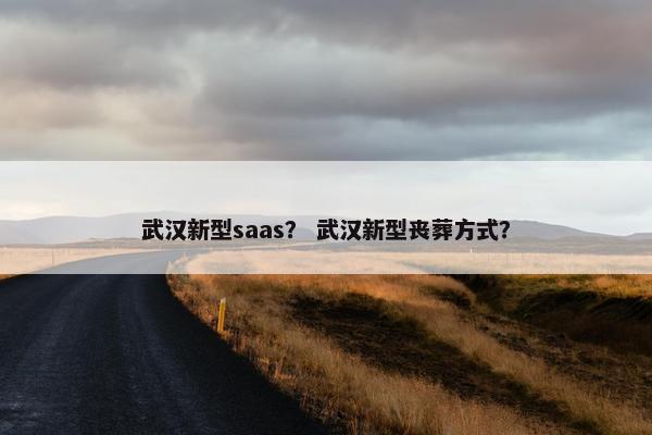 武汉新型saas? 武汉新型丧葬方式?