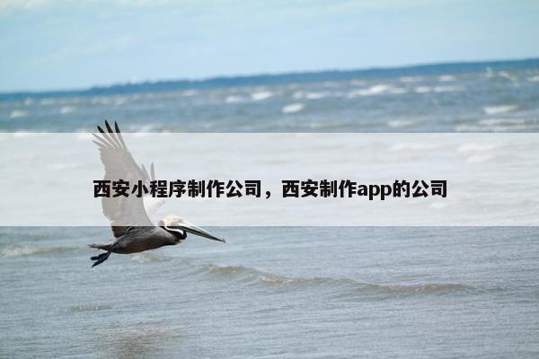西安小程序制作公司，西安制作app的公司