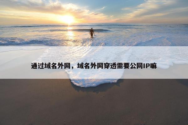 通过域名外网，域名外网穿透需要公网IP嘛
