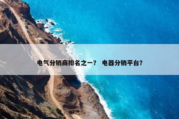 电气分销商排名之一？ 电器分销平台？