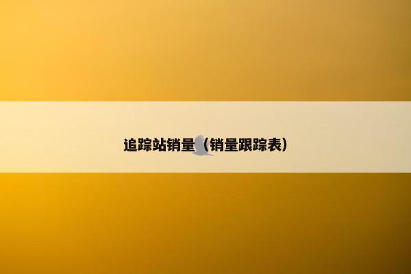 追踪站销量（销量跟踪表）