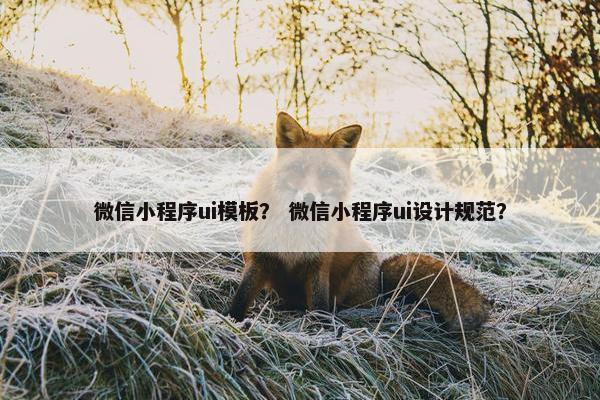 微信小程序ui模板？ 微信小程序ui设计规范？