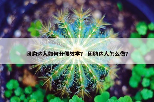 团购达人如何分佣教学? 团购达人怎么做? 团购达人如何分佣教学? 团购达人怎么做?