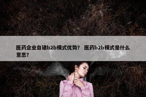 医药企业自建b2b模式优势? 医药b2b模式是什么意思?