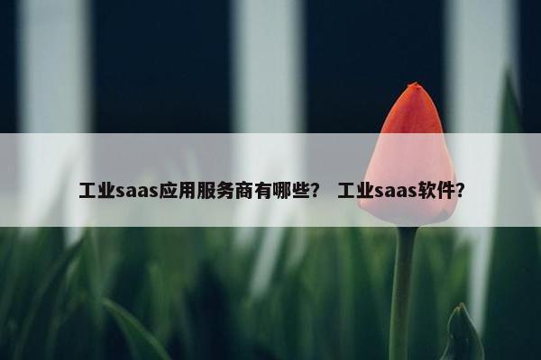 工业saas应用服务商有哪些？ 工业saas软件？