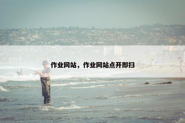 作业网站，作业网站点开即扫