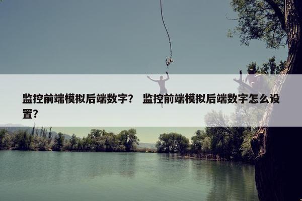 监控前端模拟后端数字？ 监控前端模拟后端数字怎么设置？
