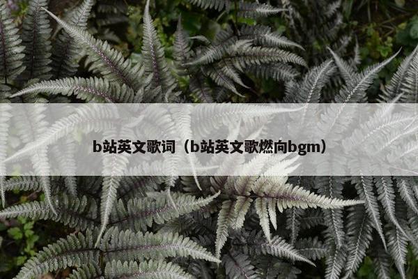 b站英文歌词（b站英文歌燃向bgm）
