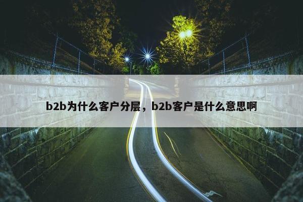 b2b为什么客户分层,b2b客户是什么意思啊