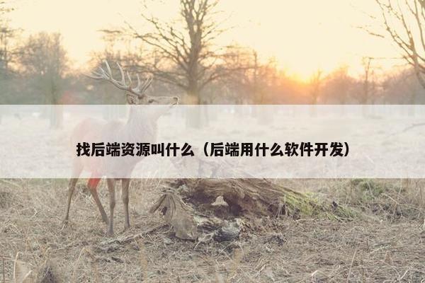 找后端资源叫什么（后端用什么软件开发）