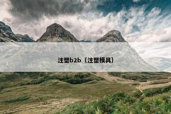 注塑b2b(注塑模具) 注塑b2b(注塑模具)