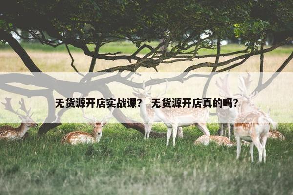 无货源开店实战课？ 无货源开店真的吗？