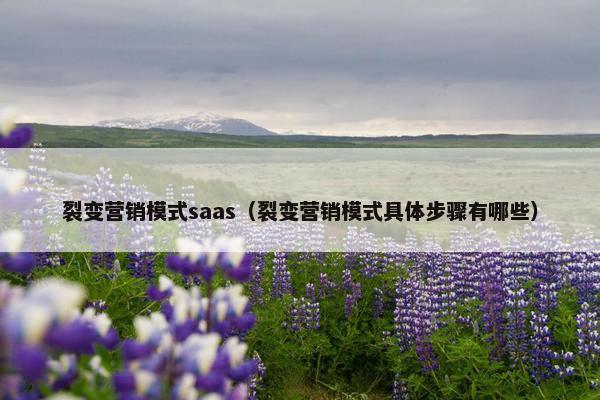 裂变营销模式saas（裂变营销模式具体步骤有哪些）