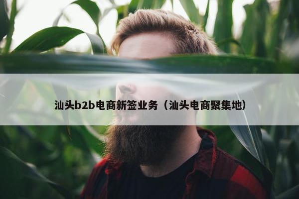 汕头b2b电商新签业务(汕头电商聚集地)