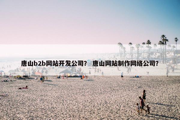 唐山b2b网站开发公司? 唐山网站制作网络公司?