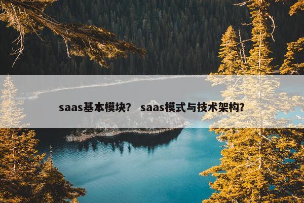 saas基本模块？ saas模式与技术架构？
