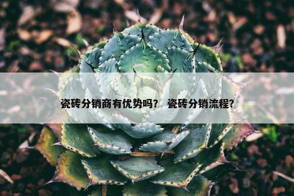 瓷砖分销商有优势吗? 瓷砖分销流程?
