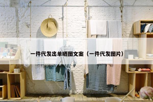 一件代发出单晒图文案(一件代发图片)