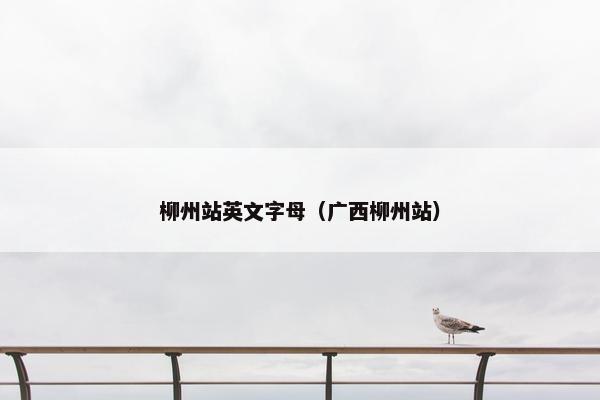 柳州站英文字母（广西柳州站）