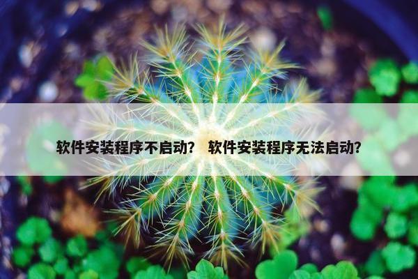 软件安装程序不启动? 软件安装程序无法启动?