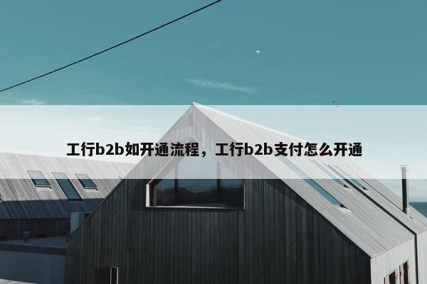 工行b2b如开通流程，工行b2b支付怎么开通