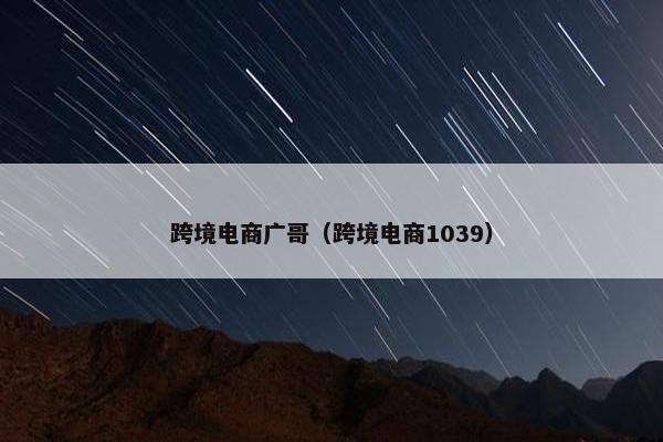 跨境电商广哥（跨境电商1039）