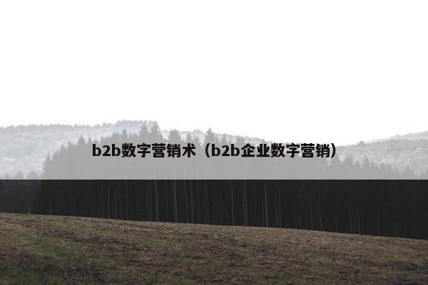 b2b数字营销术（b2b企业数字营销）