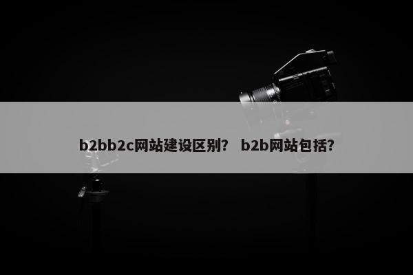 b2bb2c网站建设区别？ b2b网站包括？