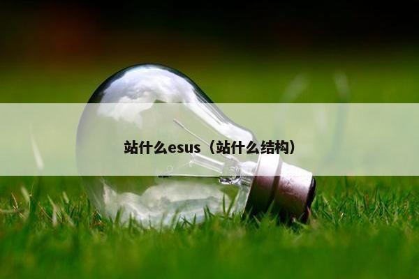 站什么esus（站什么结构）