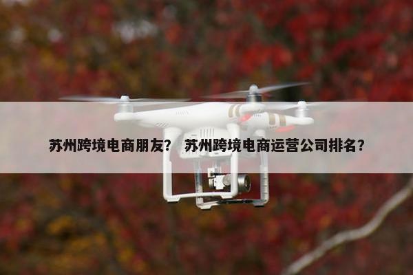苏州跨境电商朋友？ 苏州跨境电商运营公司排名？