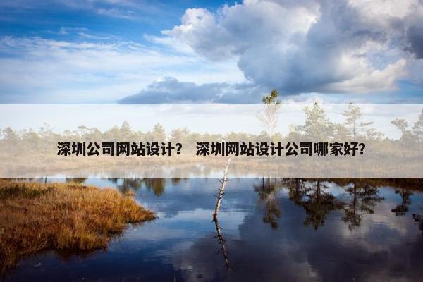 深圳公司网站设计？ 深圳网站设计公司哪家好？