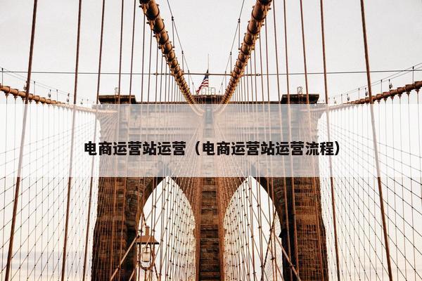 电商运营站运营（电商运营站运营流程）