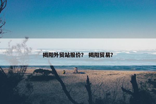 揭阳外贸站报价? 揭阳贸易? 揭阳外贸站报价? 揭阳贸易?
