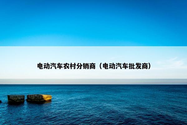 电动汽车农村分销商（电动汽车批发商）